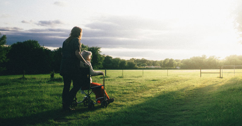 beautiful field with wheelchair